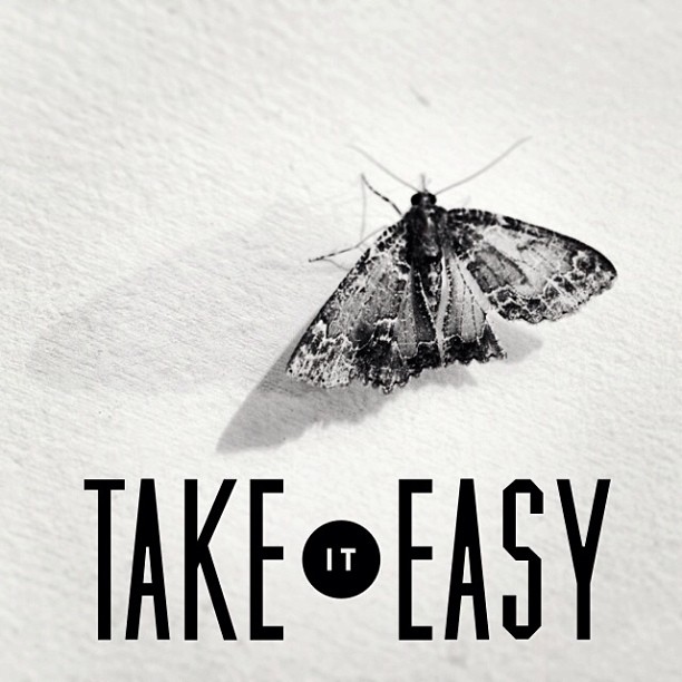 Take it easy! #moth #quotes #affirmations #inspiration #inspirational #blackandwhite #personalphotography